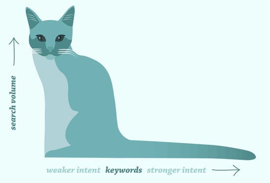 Google Possum loves longtail keywords